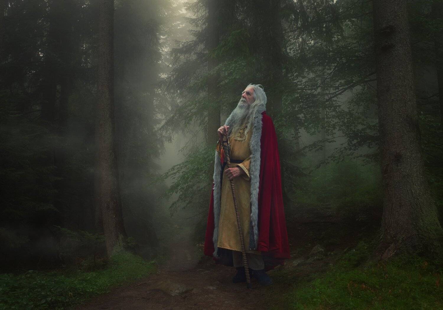 лес, утро, туман, Sergii Vidov