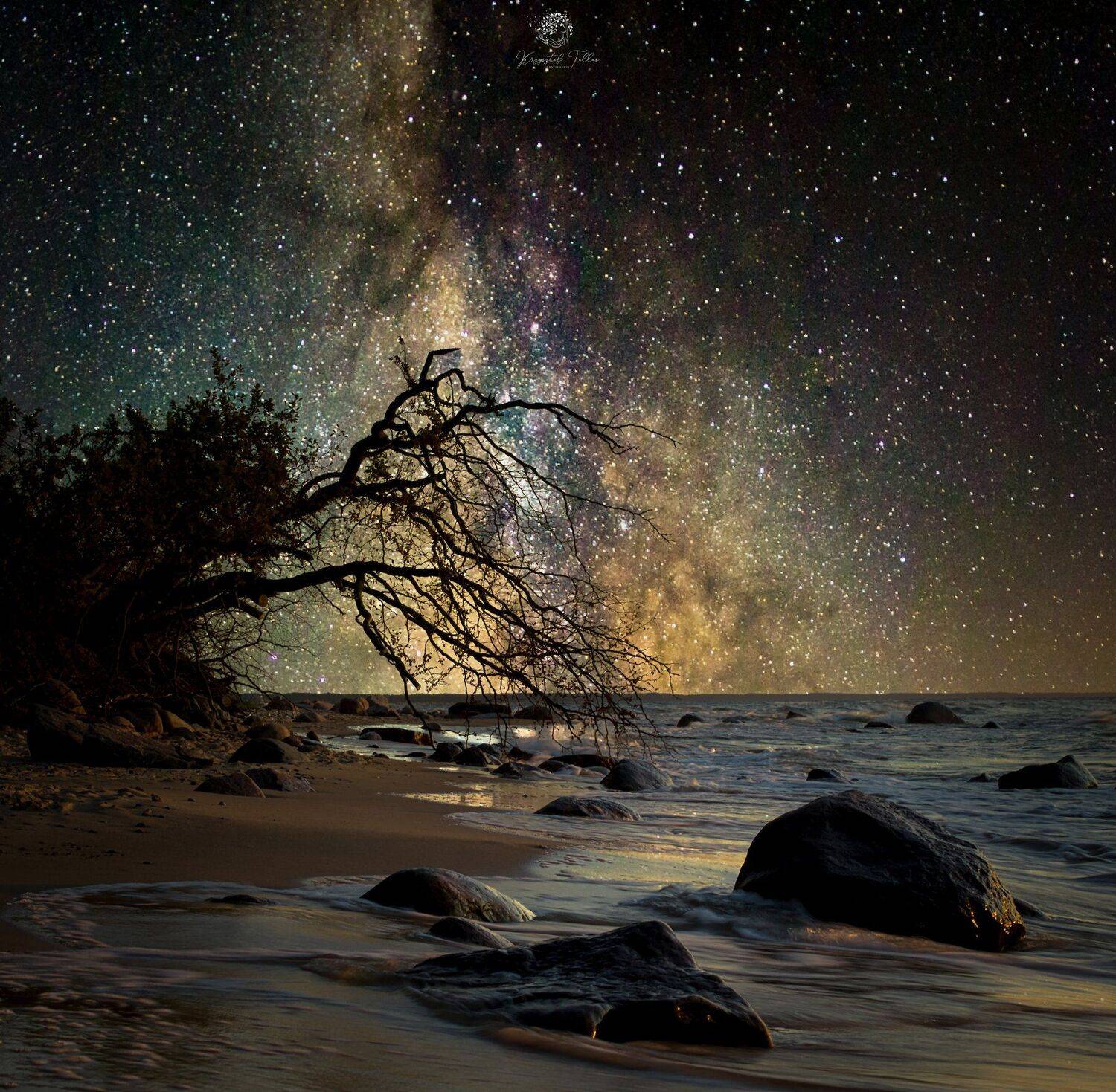 night, , star, -, space, , sky, , sea, , scenics, -, nature, , outdoors, , beauty, in, nature, , astronomy, , tree, , summer, , nature, , milky, way, , tranquil, scene, , outer, space, Krzysztof Tollas