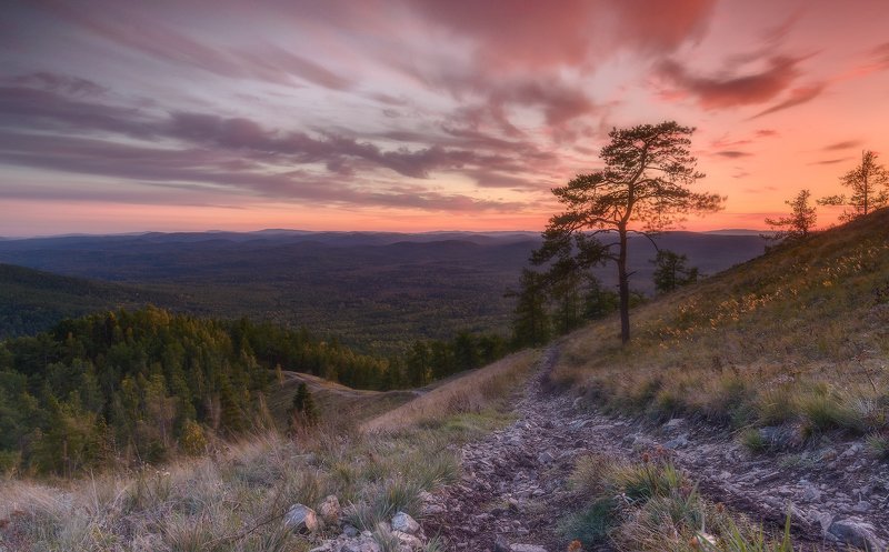 Урал, Егоза, Закат, Осень Дерево фотографов на склоне горы Егоза фото превью
