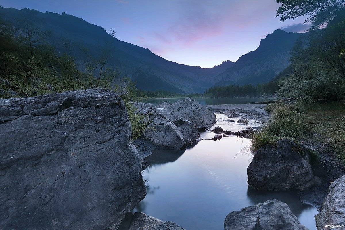 swiss, Матвеев Николай