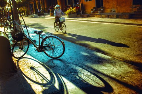 Việt Nam