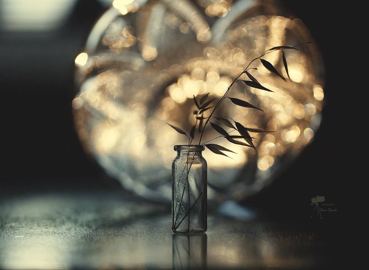 , Инна Сухова