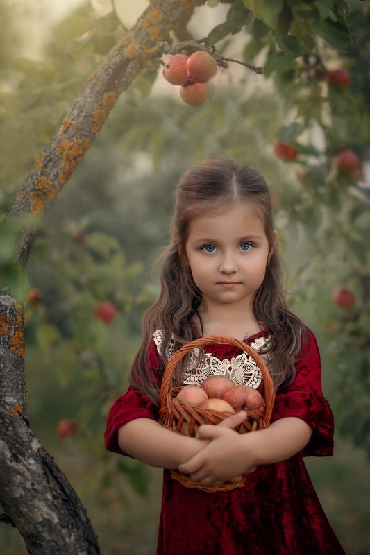 Урожай фото превью