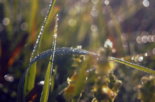 Вот и осень пришла...