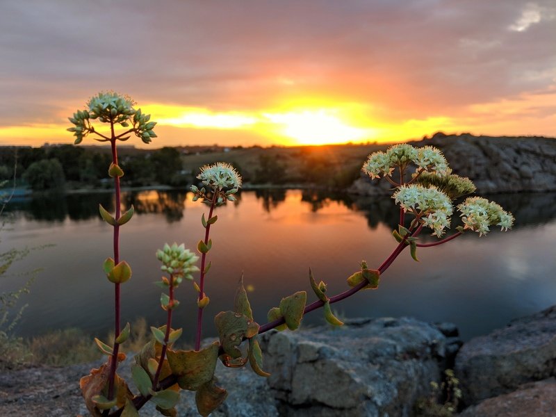 закат,лето,пейзаж,краски,зелень,солнце,небо,река,рекаднепр,landscape,сюжет,природа,nature,sky,облака,вода,отдых,красота, *** фото превью