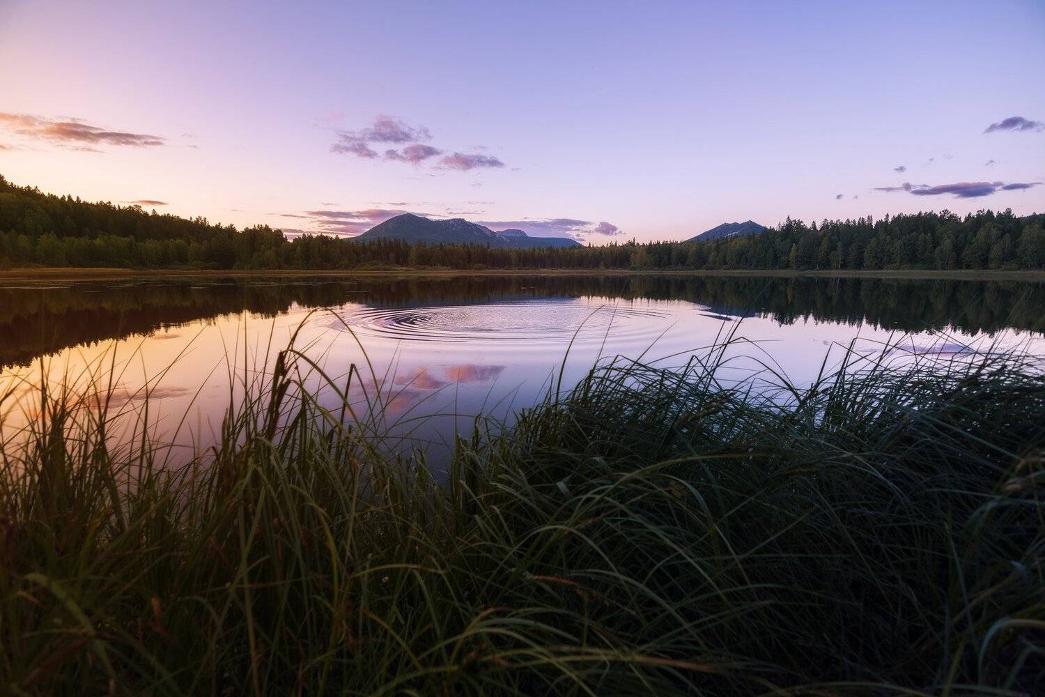 , Андрей Шарапов