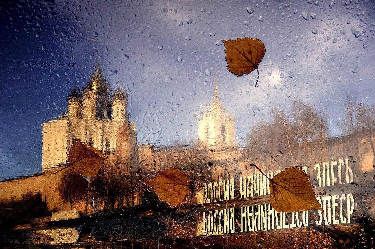 псков, россия, пейзаж, дождь, листья, стекло, через стекло, осень,собор, троицкий собор, Юрий Яковлев