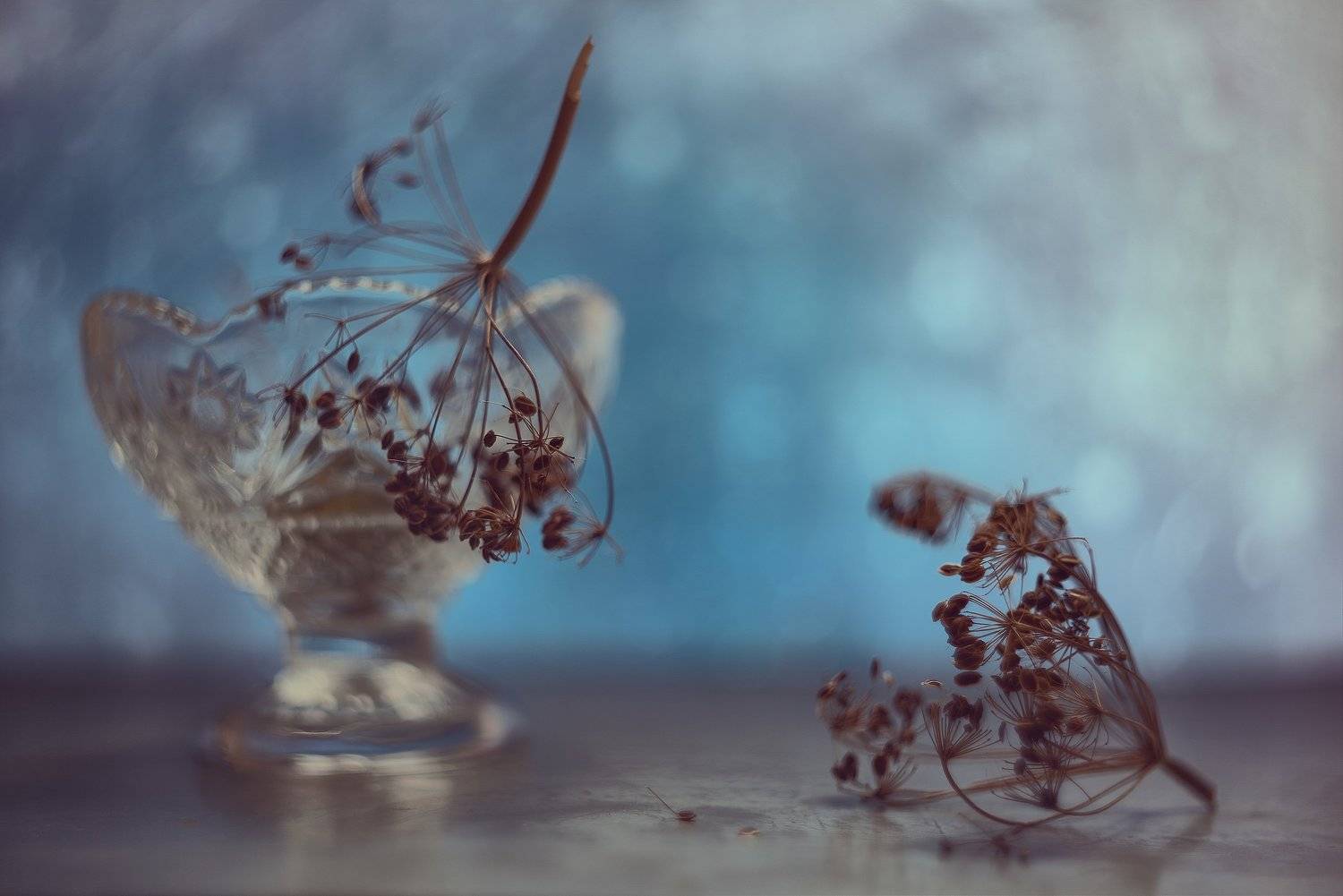 , Вячеслав Владимирович