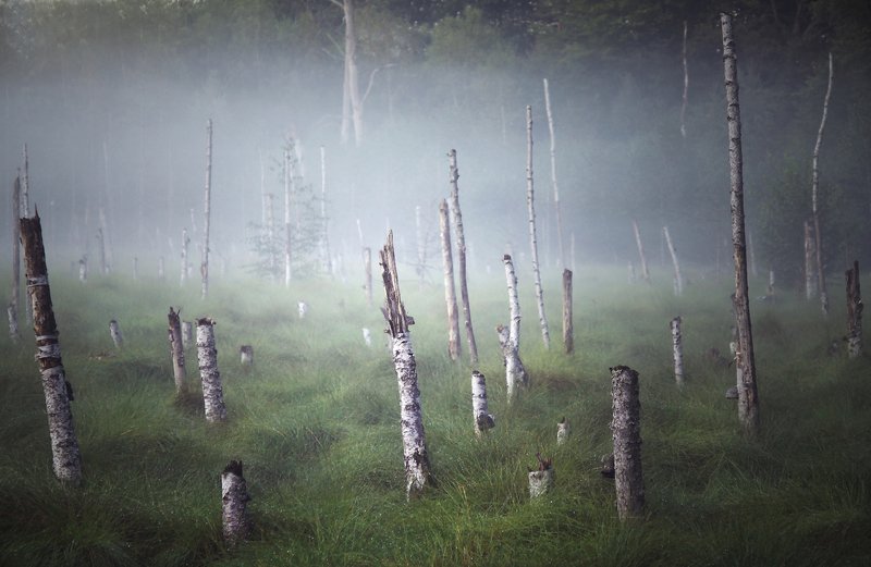 ... фото превью