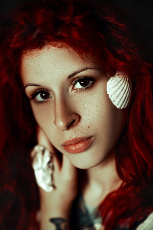 shells A call from the Sea фото превью