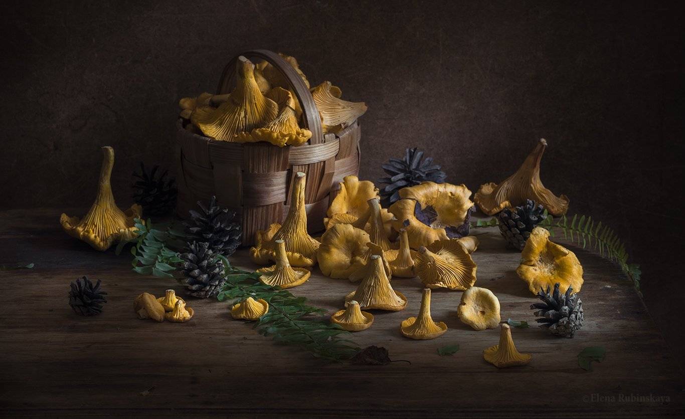 натюрморт,лисички,грибы,корзина, Елена Рубинская