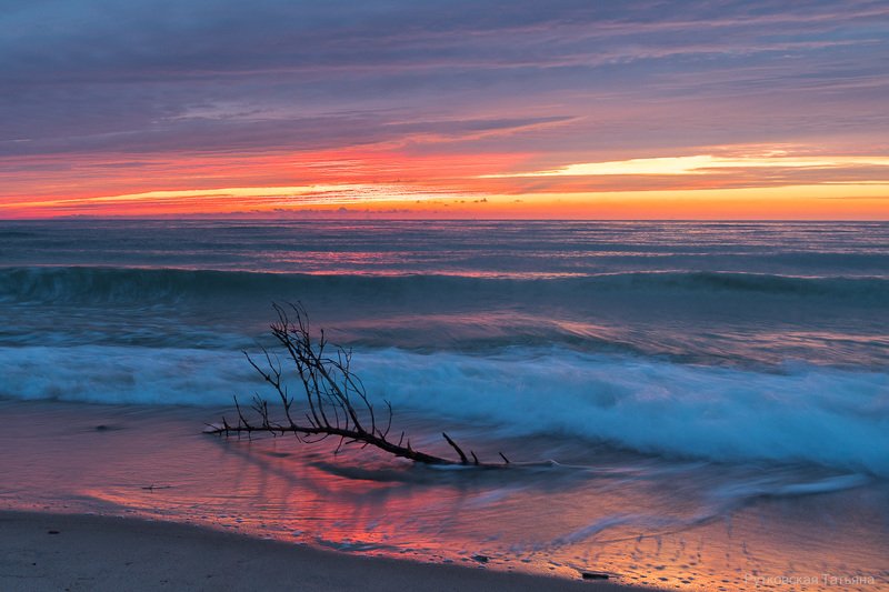 Предпоследний день лета фото превью