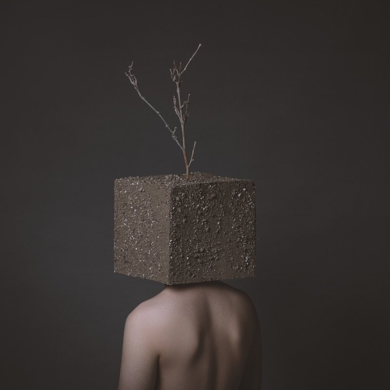 The Human фото превью