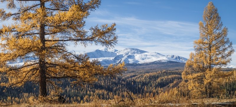 Где-то на Улаганском перевале фото превью
