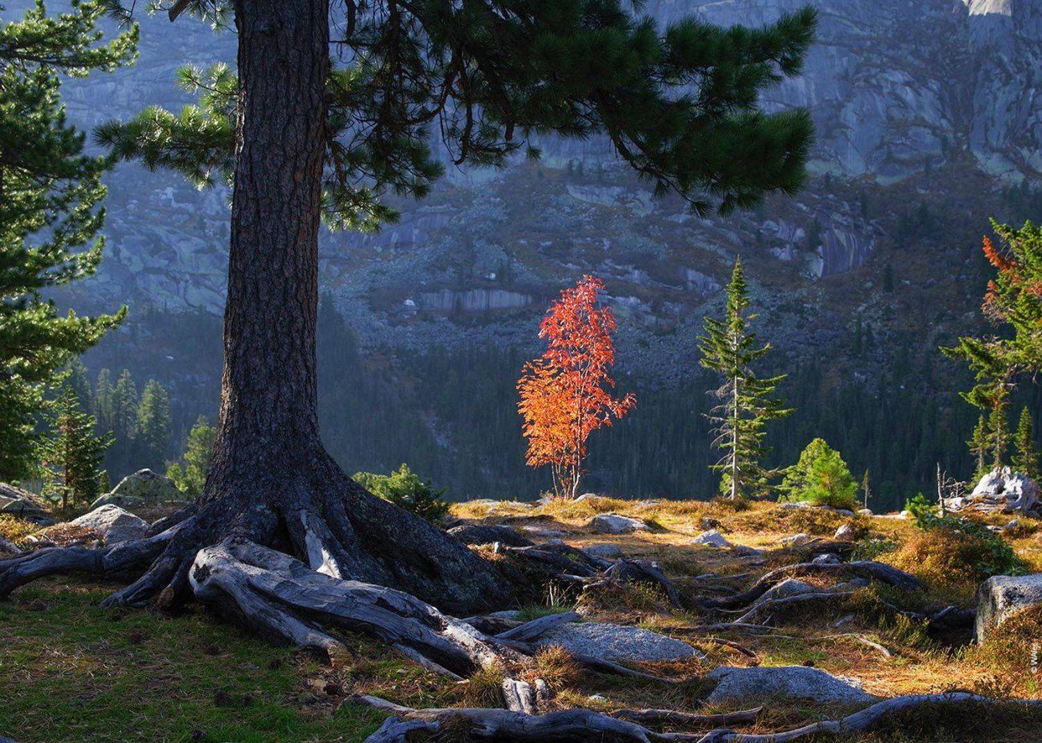 Ергаки, озеро Художников, WAler