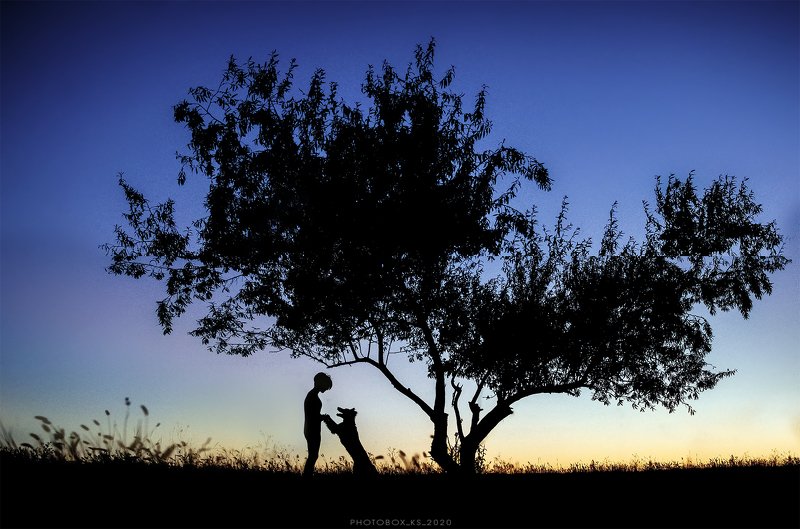 анималистика, портрет, пейзаж, силуэт   Le Petit Prince фото превью
