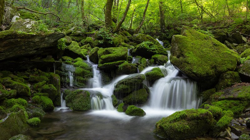 Deep Mountain Moss Valley фото превью