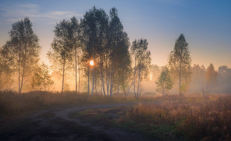 луг, осень, октябрь, утро, рассвет, туман Магия рассвета, октябрь фото превью