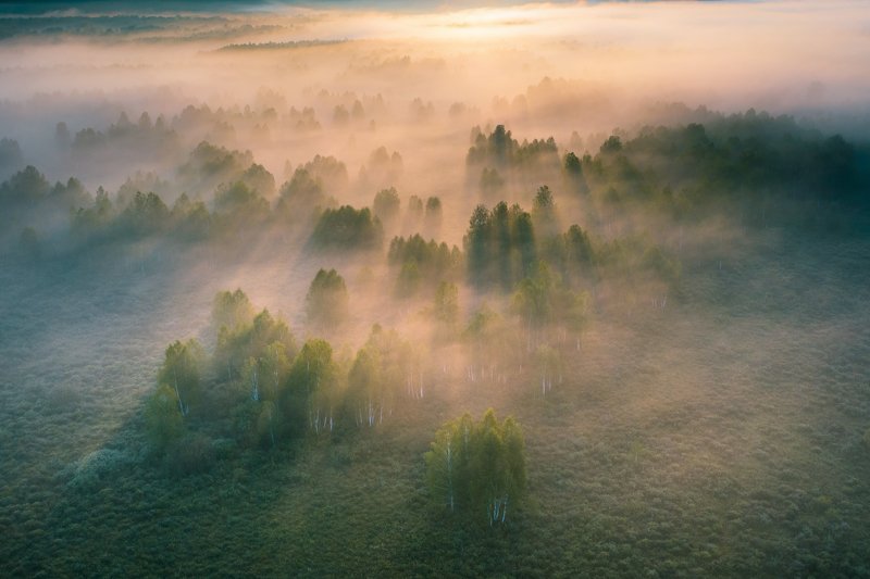 алтайскийкрай, алтай, тигирекскийзаповедник, туман Проявка тумана фото превью