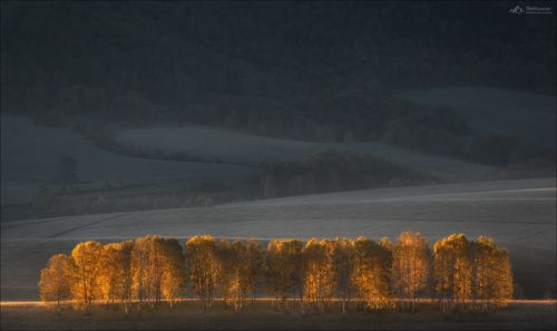 Осенний форпост