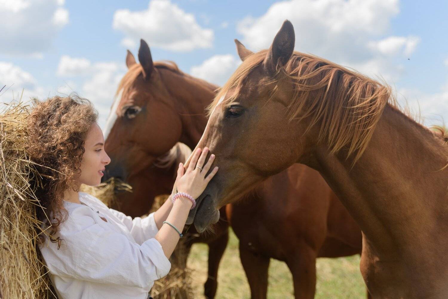 девушка, деревня, лошадь, лошади, сено, спокойствие, дружба, Максим Михайлов