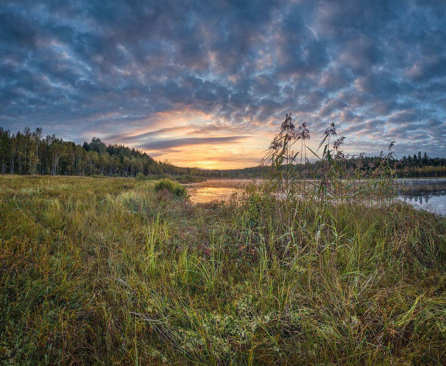 , Николай Андреев