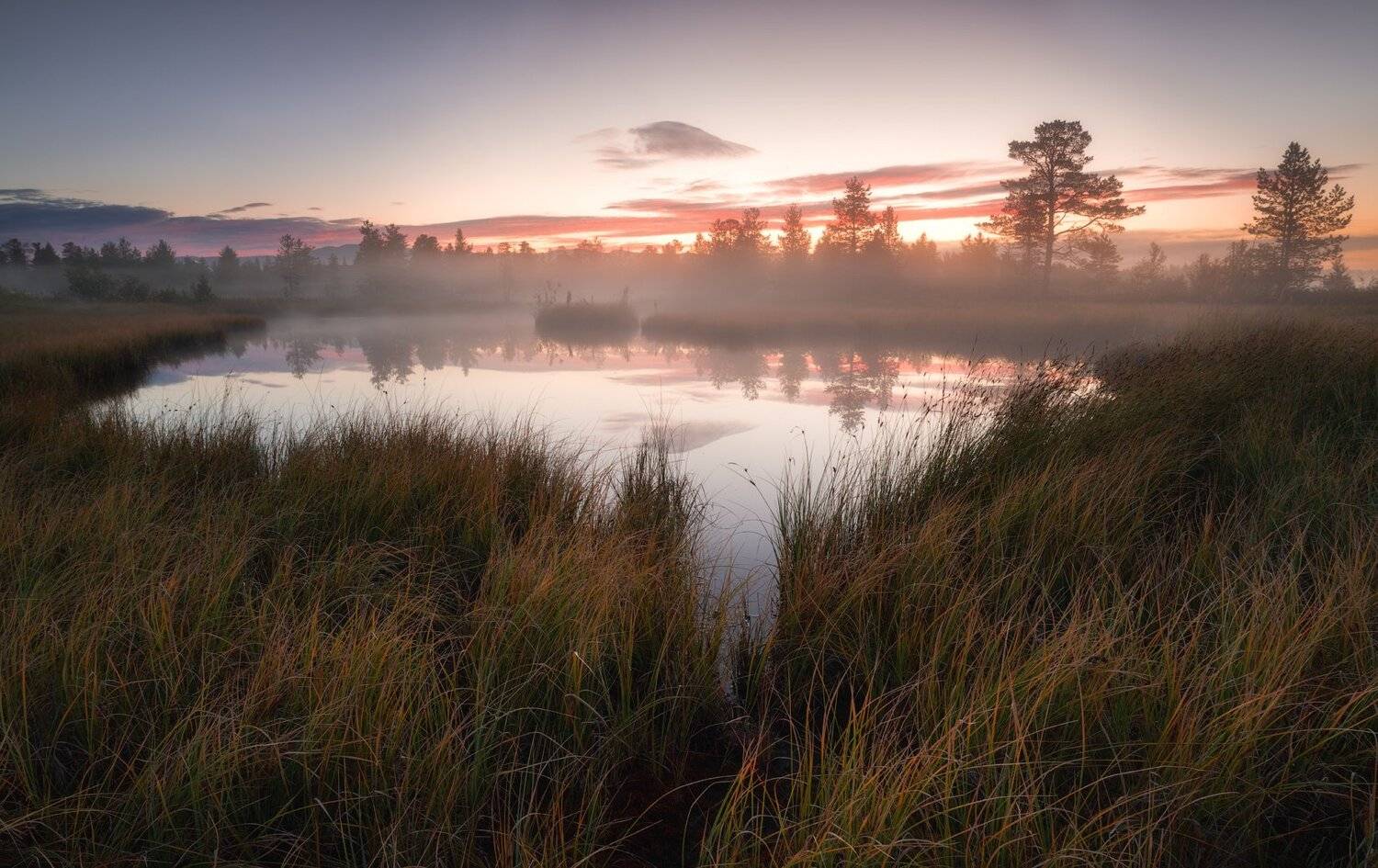 пейзаж,рассвет,туман,озеро,апатиты,мурманская область,лес, Виталий Истомин