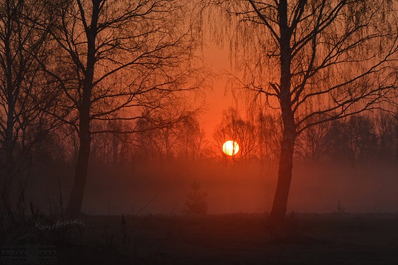 пейзаж, туман, рассвет, акварель, деревня Встреча нового дня фото превью