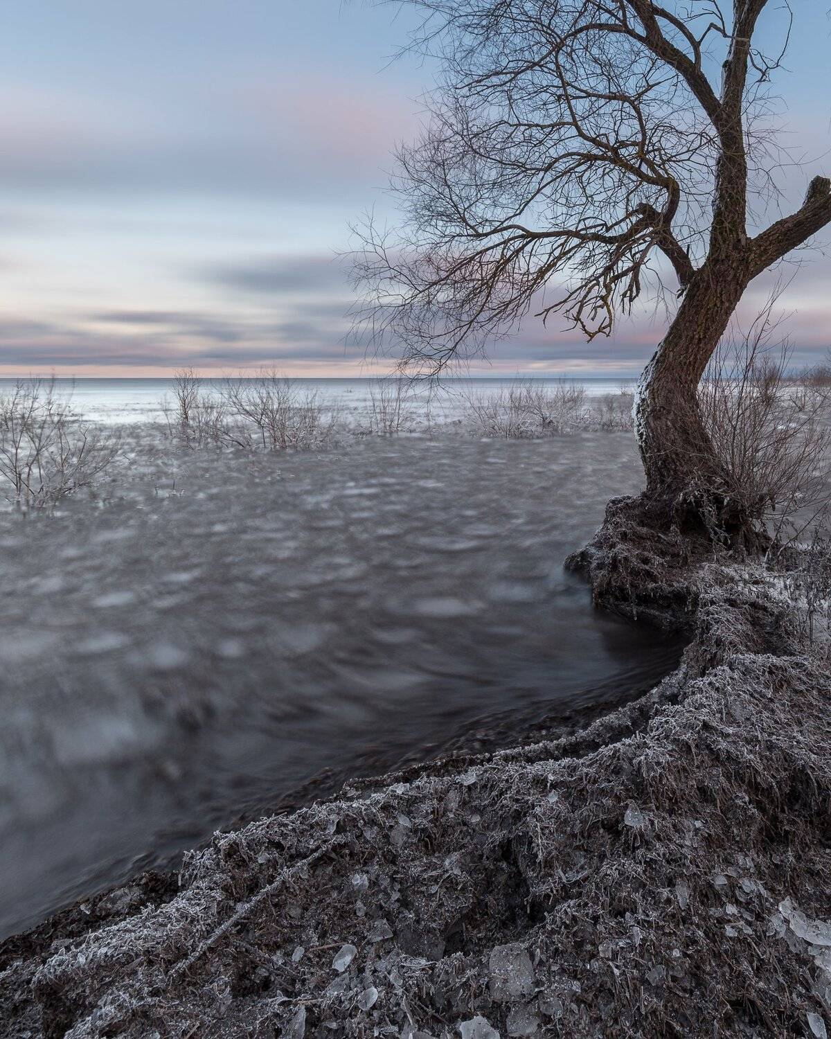 новгородская область, ильмень,, Роман Фабричный