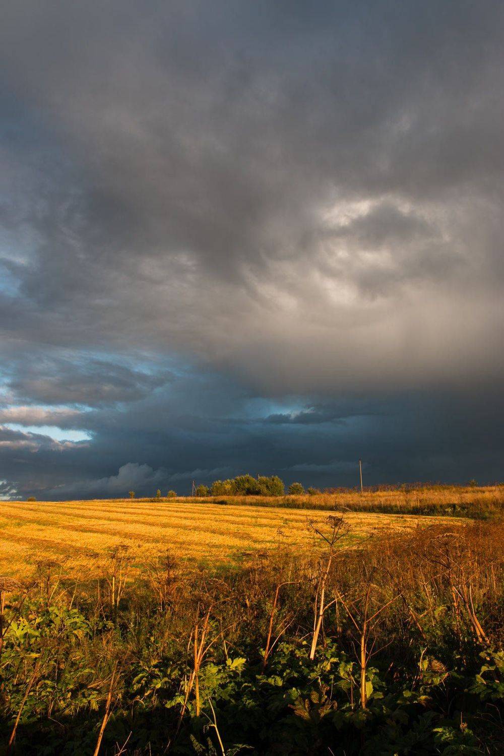 , Александр