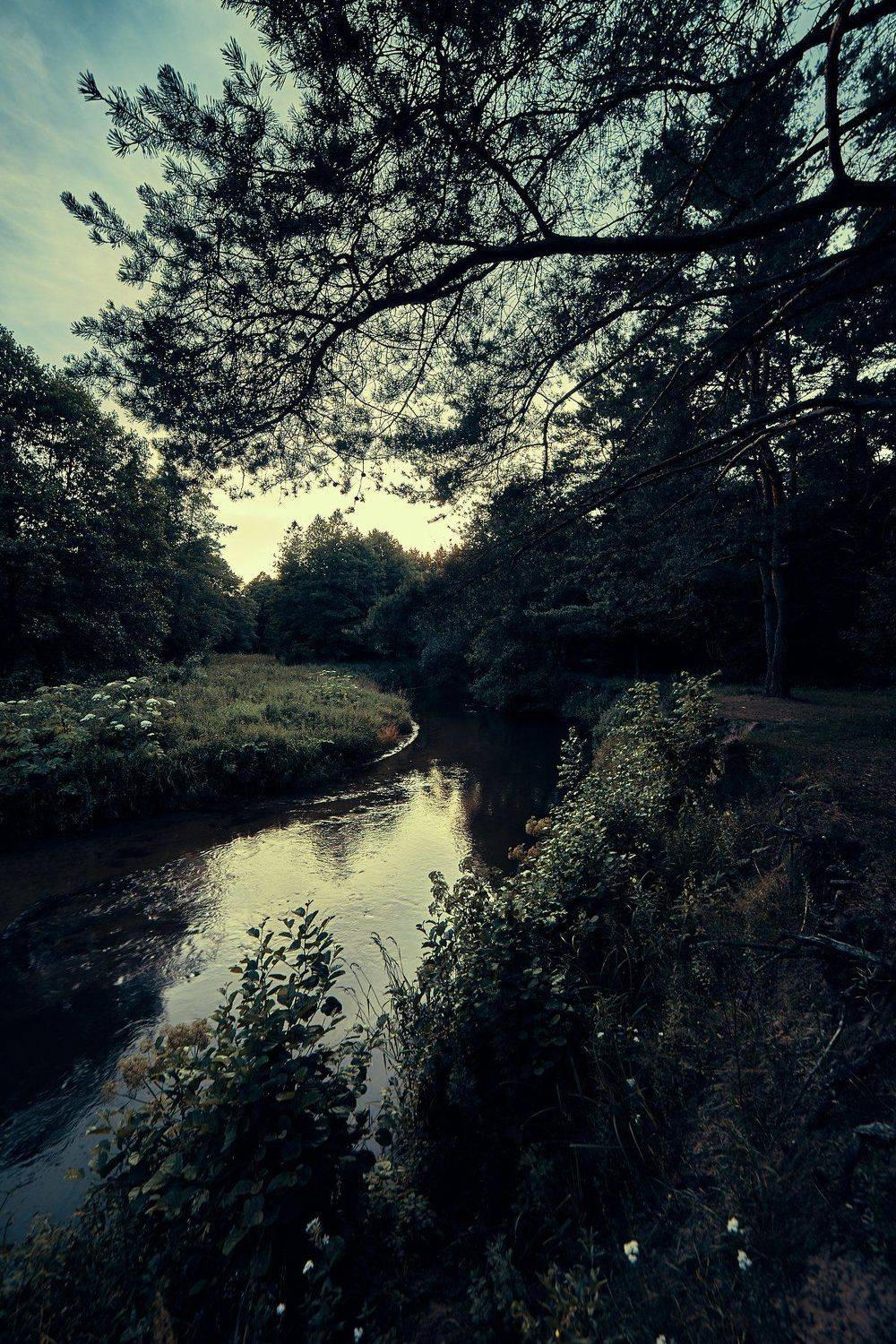 , Александр Фанковин