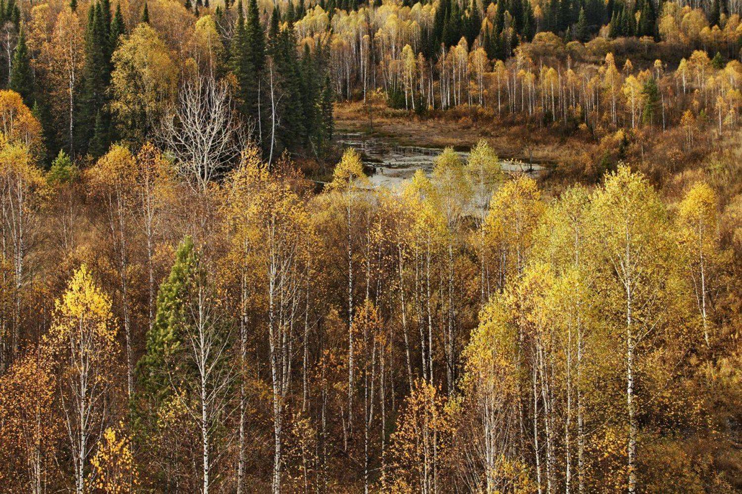 , Гагик Мхитарян