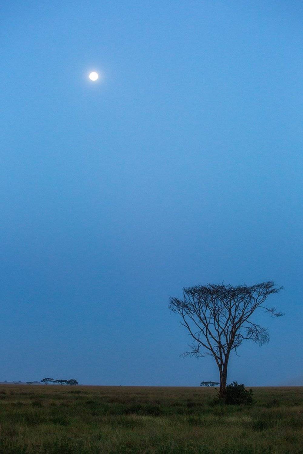 , Рашид Усманов