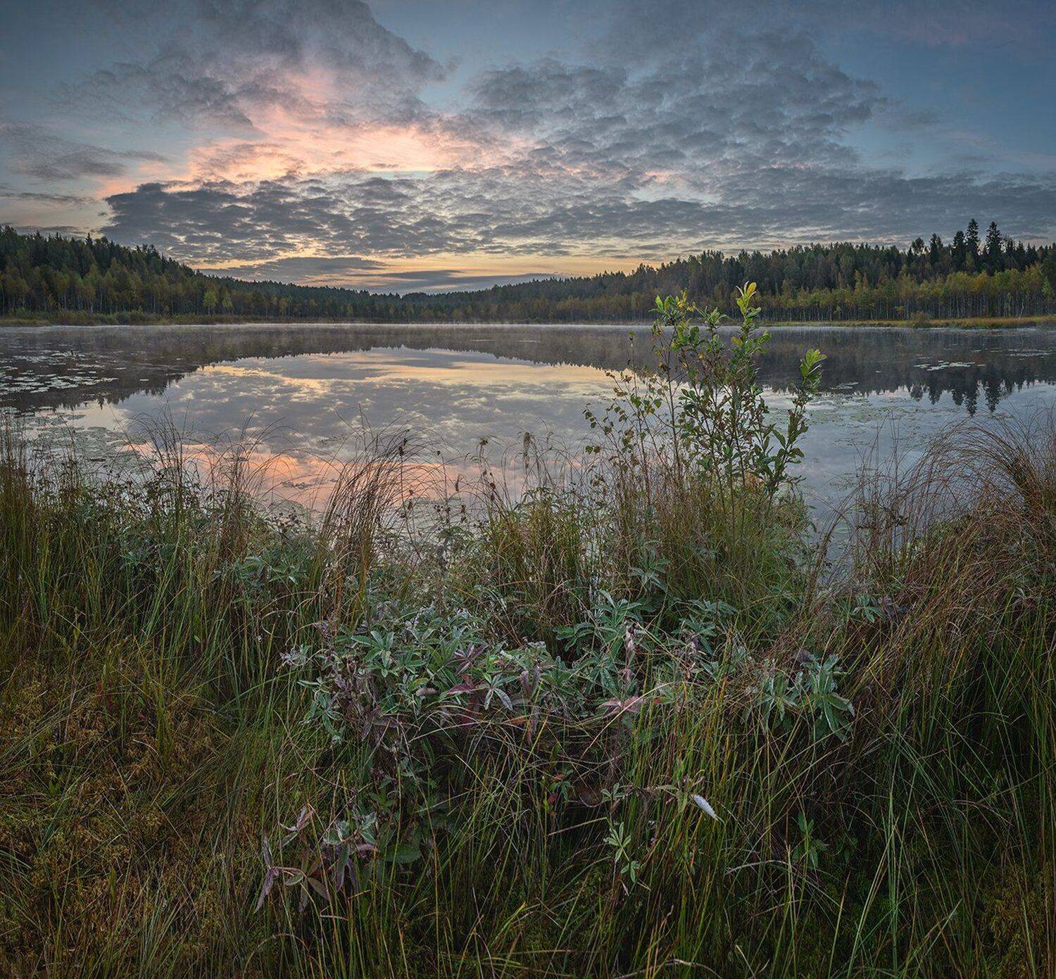 , Николай Андреев