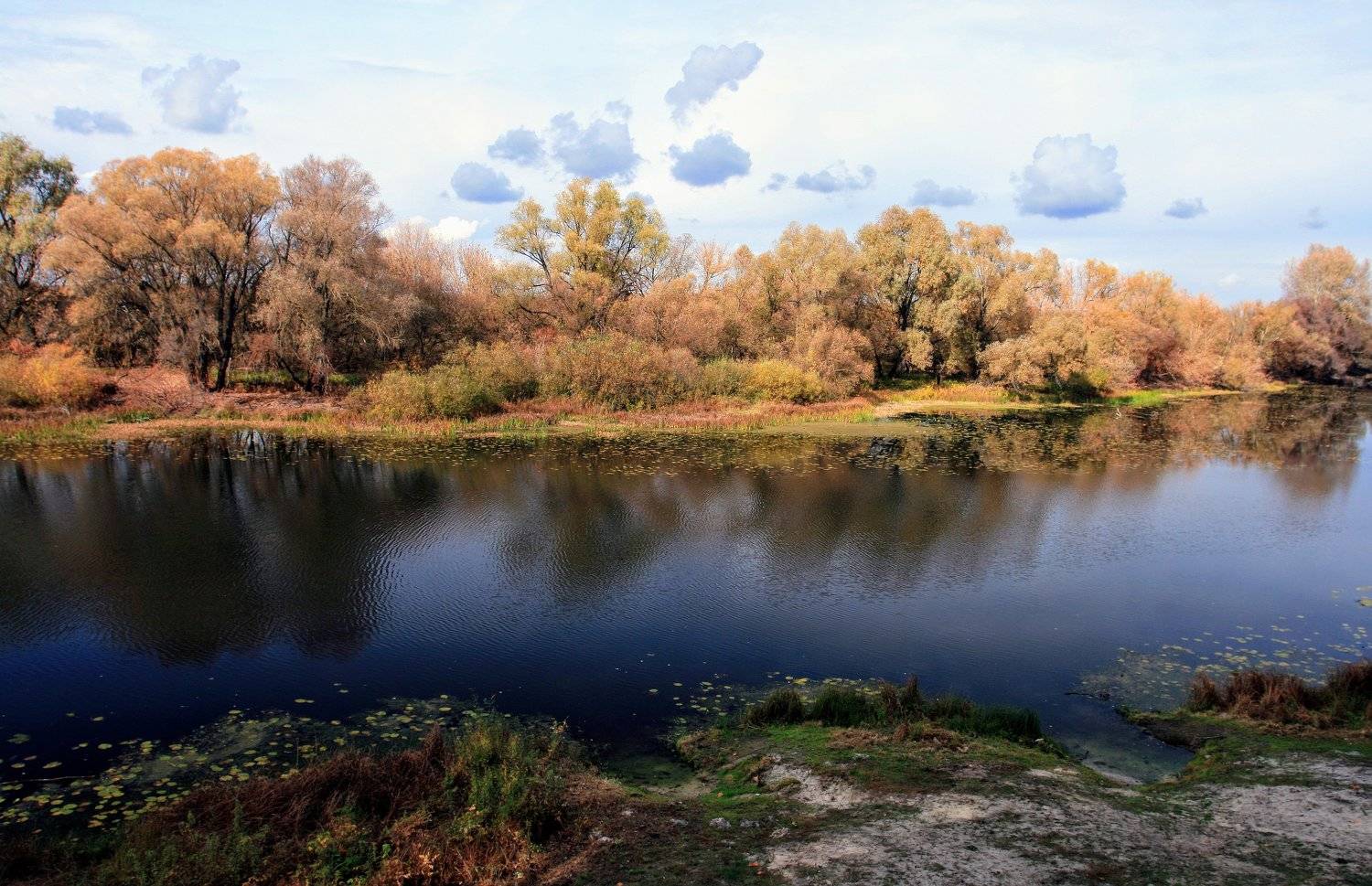 пироговка река лес осень, Юрий