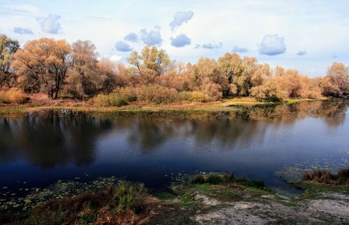 Осенняя река