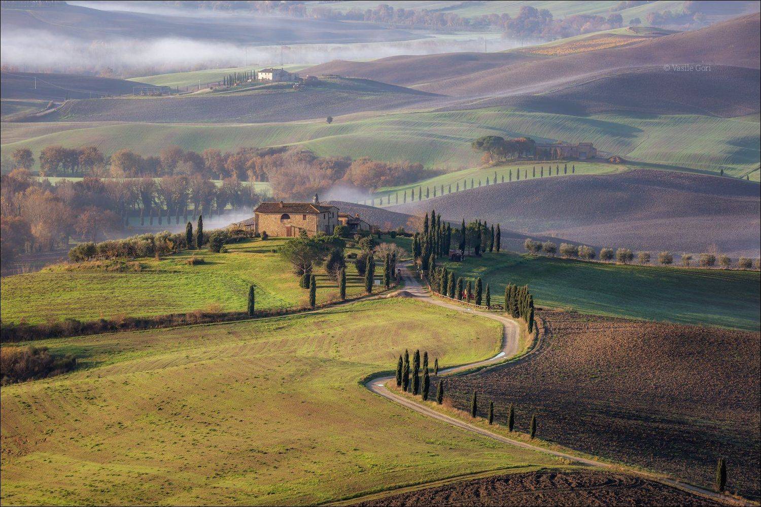 italy,pienza,italia,дымка,италия,тоскана,кипарис,toscana,осень,tuscany,cipressi,belvedere, Василий Гори