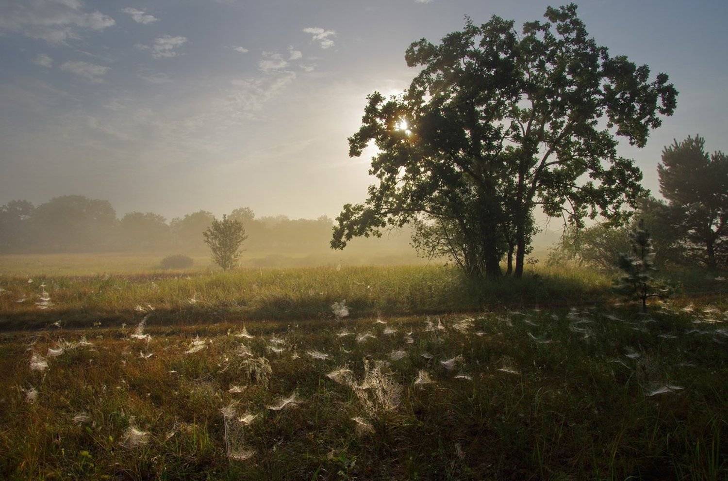 , Сергей Шляга