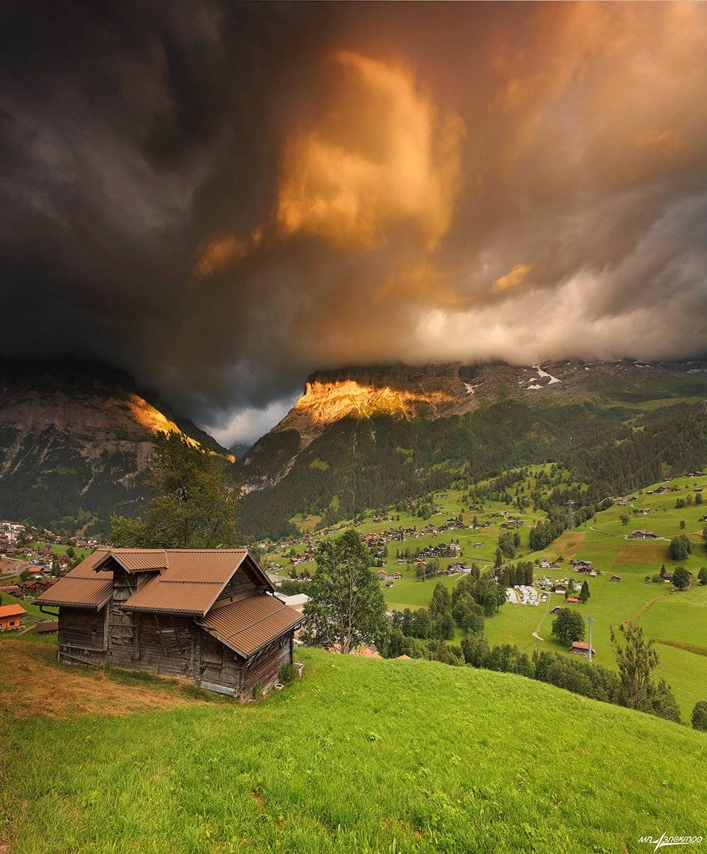 swiss, Матвеев Николай