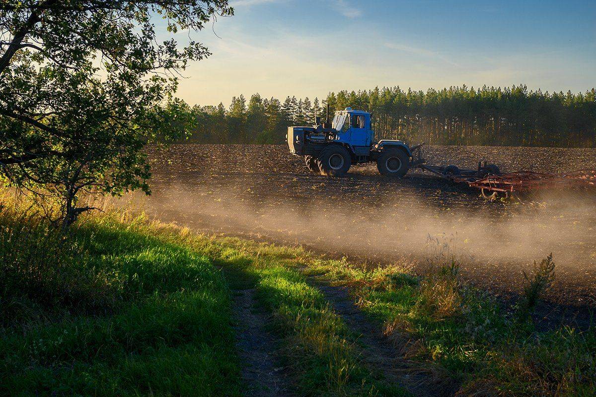 сентябрь, поля, Владислав Никишин