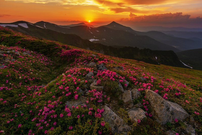 Summer in mountains фото превью