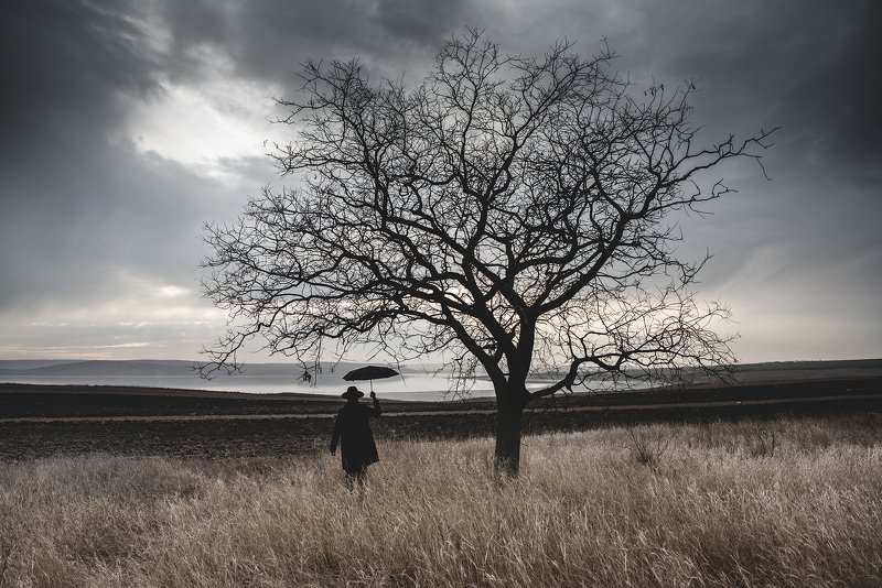 Alone фото превью