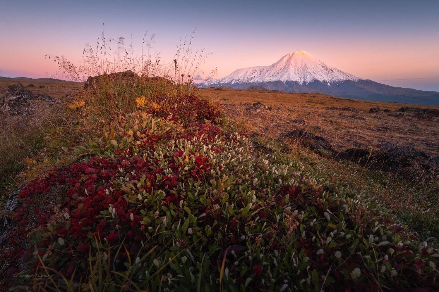 камчатка,закат,вечер,толбачик,тундра, Александр Кукринов