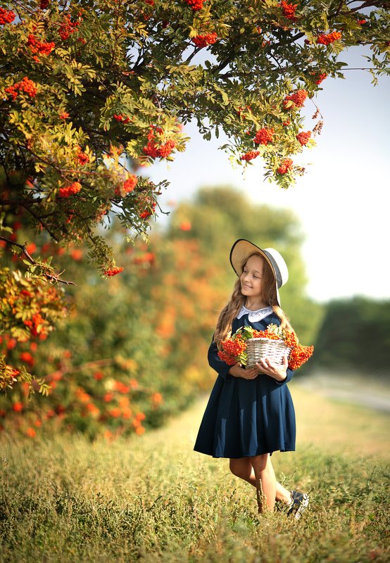 девочка, детский портрет, топ фотограф, детский фотограф, семейный фотограф, детская фотография, детский портрет, портрет, портретный фотограф, известный фотограф, фотограф валерия мороз, сказочная ретушь, волшебный свет, волшебная обработка, обучение фот Портрет с рябиной фото превью