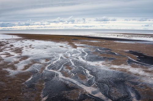 Отлив. Берег Белого моря.