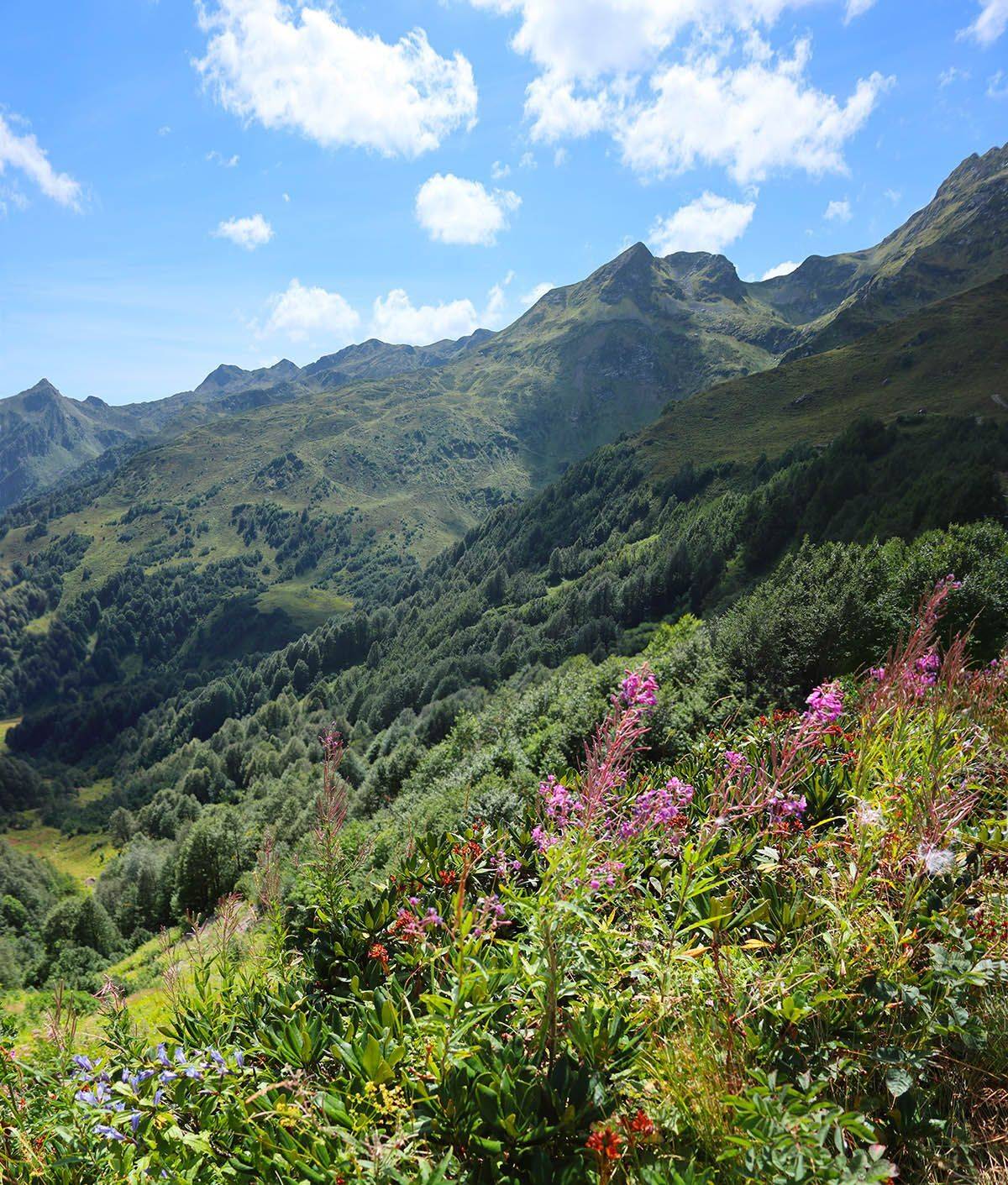Абхазия, Пыв, Кавказ, горы, панорама, Борис Резванцев