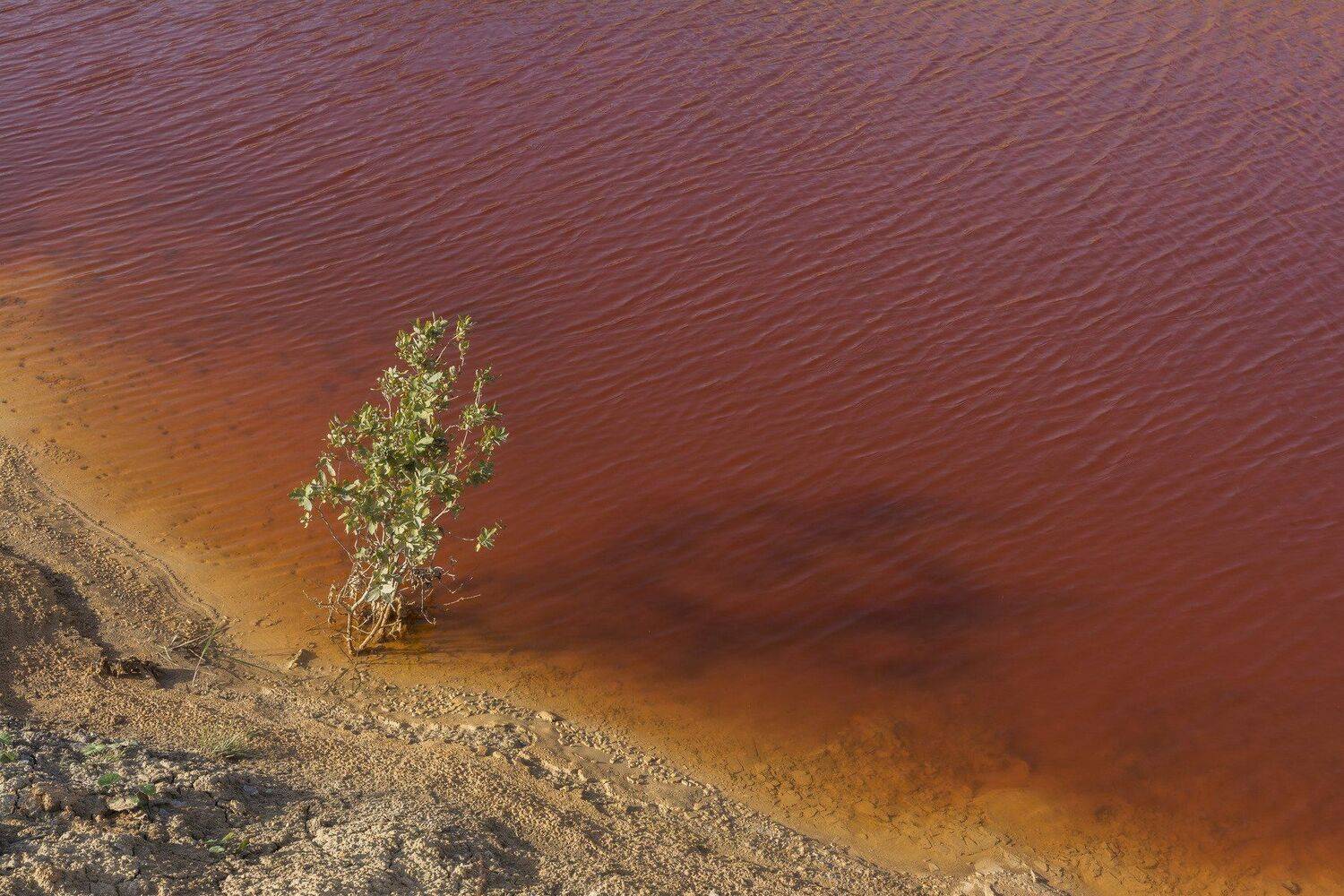 , Андрей Шарапов