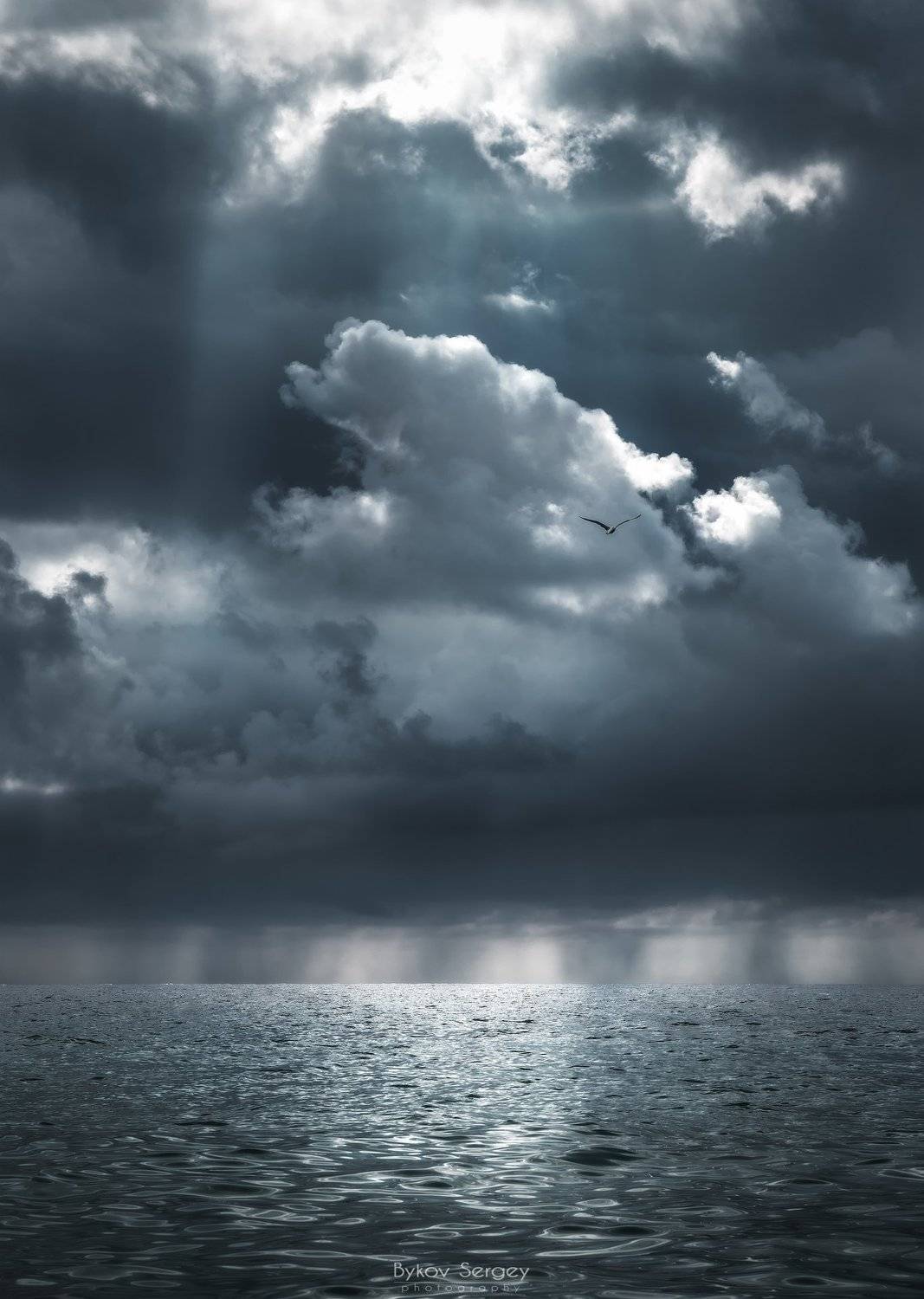 , Сергей Быков