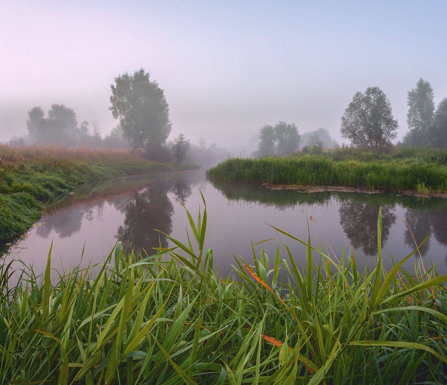 , Николай Андреев