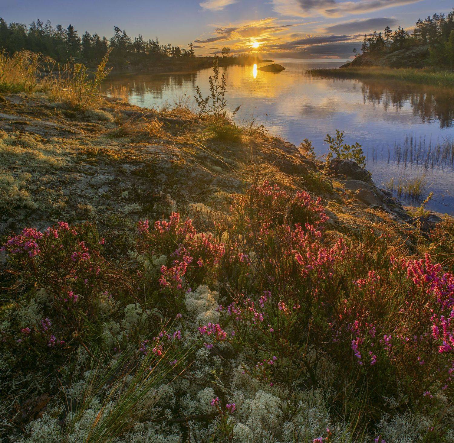 Фототуры с Владимиром Рябковым, Ладога, Ладожские шхеры#topnature #russpasibo #magic_shots #lovelyRussia #sunset_vision #exclusive_sky  #exclusive_shots #loves_russia2 #photoarena_nature #nature_sultans #nature_perfection #rsa_sky #rsa_sunset #photorussia, Владимир Рябков